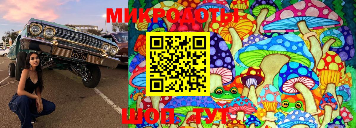 где продают наркотики  Галлюциногенные грибы MAGIC MUSHROOMS  Вход с VPN  Гусиноозёрск  Псилоцибиновые грибы мицелий 