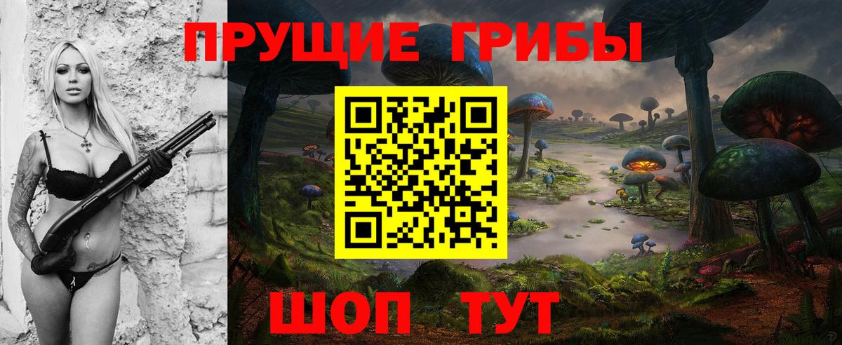 Галлюциногенные грибы мухоморы Гусиноозёрск